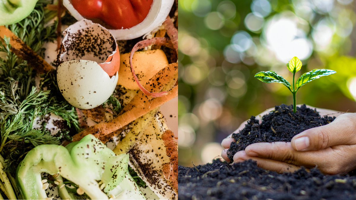 Imagine a world where food waste is a resource, not a problem. The #FoodCycler is more than a device; it's a step towards sustainable food waste recirculation for #homes and #communities alike. Learn more about our solutions for #municipalities at foodcyclescience.com