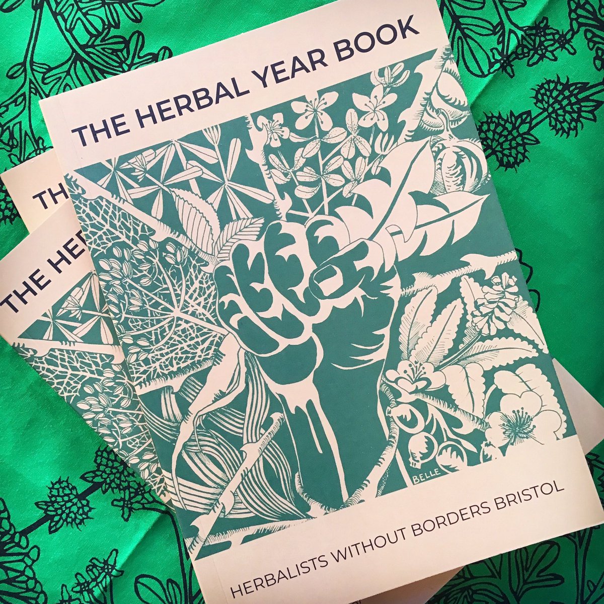 “The Herbal Year Book will deepen your connection to the medicinal herbs &amp; teach you about medicines that you can make with them. A beautiful collection of illustrations, recipes &amp; herbal wisdom with a handy monthly harvest guide.”

burningbooks.com/products/the-h…