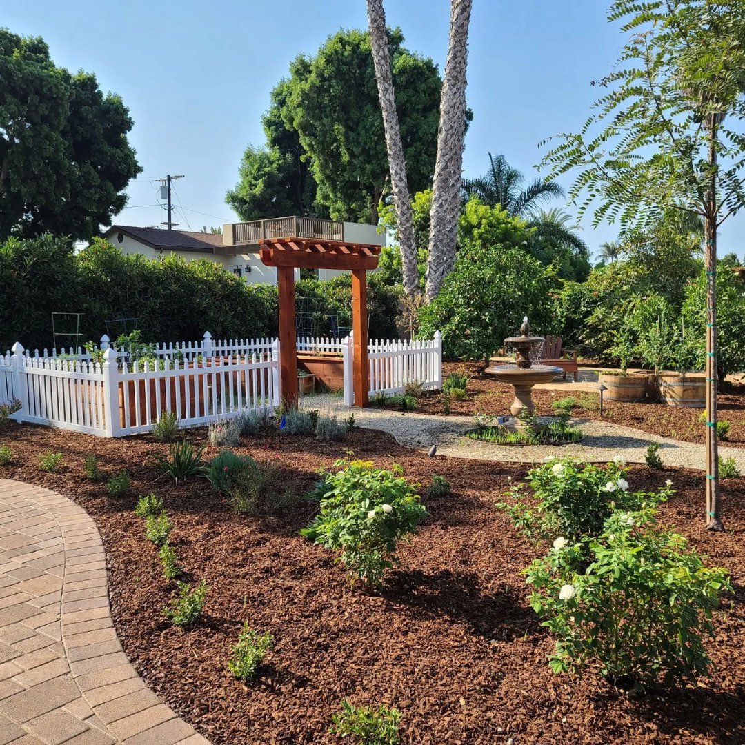 What is Aeroponics and How Does it Work?

Read more: 1l.ink/H74SSJC

#BeaudryGardenDesign #LandscapeDesign #Environmentalism #Landscaping #OutdoorLiving #Garden #Barbecue #PatioDesign #CommunityGreen #GardenSanctuary #Sanctuary