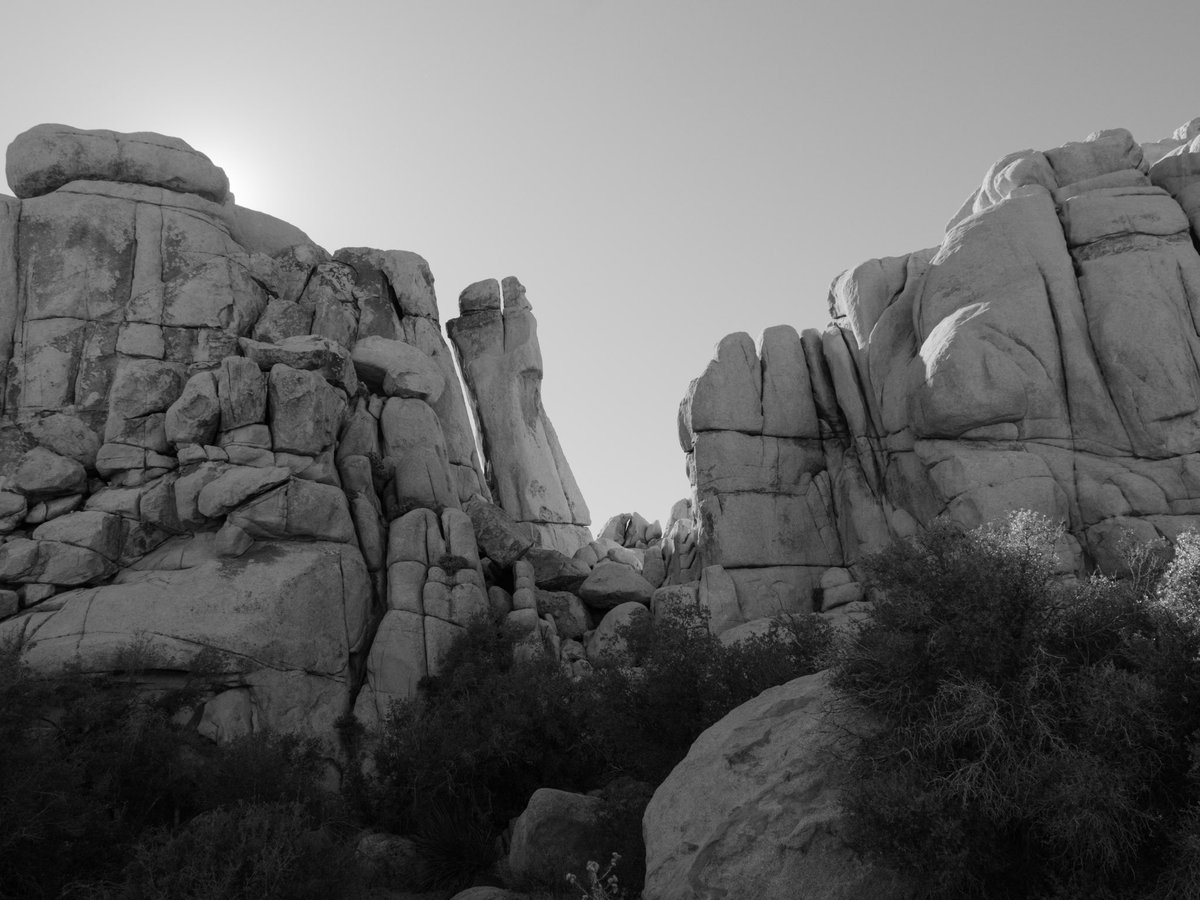 JoshuaTreeNPS's tweet photo. In honor of Ansel Adams' birthday on February 20, 1902, we conjured up our best interpretations of his timeless black and white photography. Our photographs today owe a great debt to their historical predecessors.

Photos by: NPS/ Paul Martinez https://t.co/qgjxunkAw0