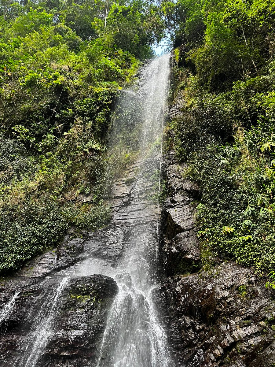 djmillerJA's tweet image. #waterfalls #TuesdayScenes 
#water
@jahmekyagyal