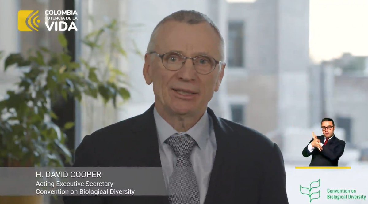 Congratulations to Cali for being chosen as the host city for #COP16. We will see you in Colombia in October

#BiodiversityPlan #PeaceWithNature