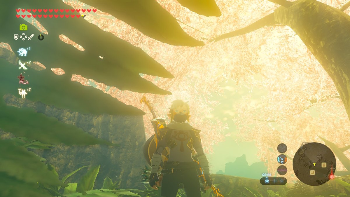 Laniidaye's tweet photo. Cant believe they killed him off ;-[ #BreathoftheWild #NintendoSwitch https://t.co/o3hYAaQKAt
