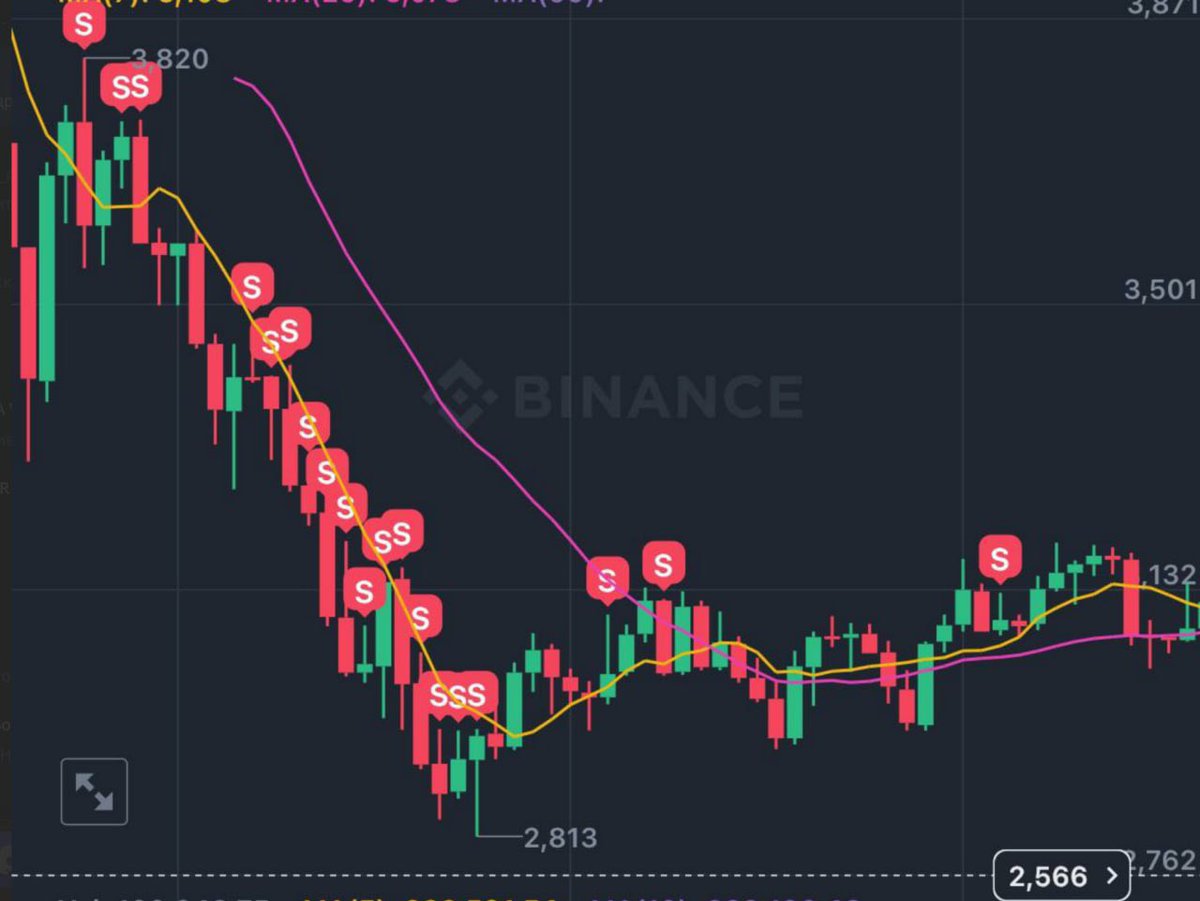 AutoSoftTools's tweet photo. Thanks to Starknet for the best airdrop of the year.

And to software, for selling at the highs🦾

Who’s next? https://t.co/bO8ak4QxkV
