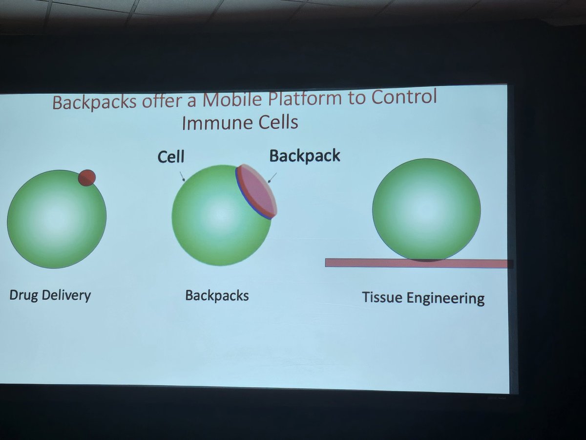 If you could put a backpack on your favorite immune cell what would you place inside? Samir Mitragotri has designed backpacks for a variety of immune cells. It is as cool as it sounds! #Bioengineering in Cancer summit @MoffittNews