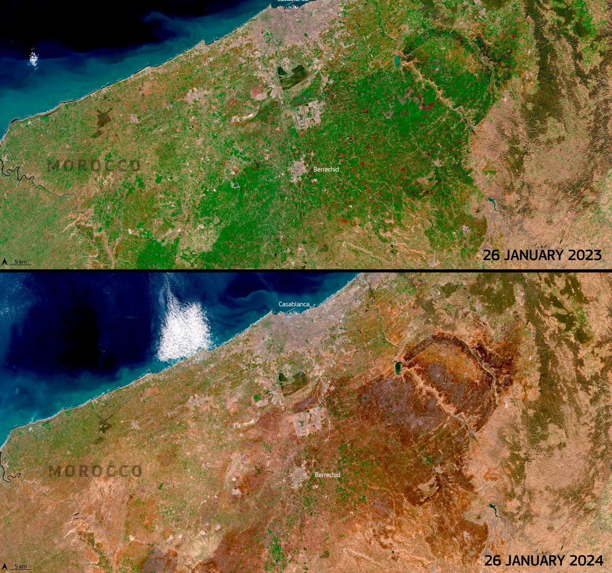 #Climate change has turned #Morocco into a scorched land. Little will grow here anymore without irrigation, and even then, the water table is disappearing. #Spain, #Italy, and #Greece are all being hugely affected by drought, but Morocco is on the front line of desertification.