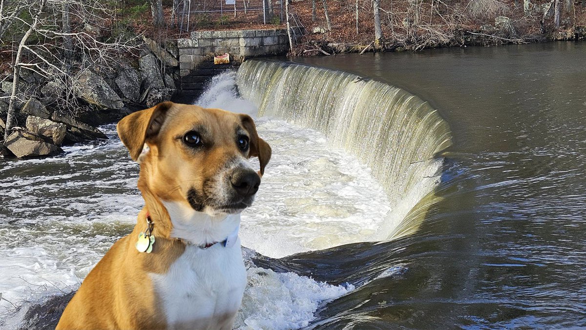 Blackstone Heritage Corridor tweet media