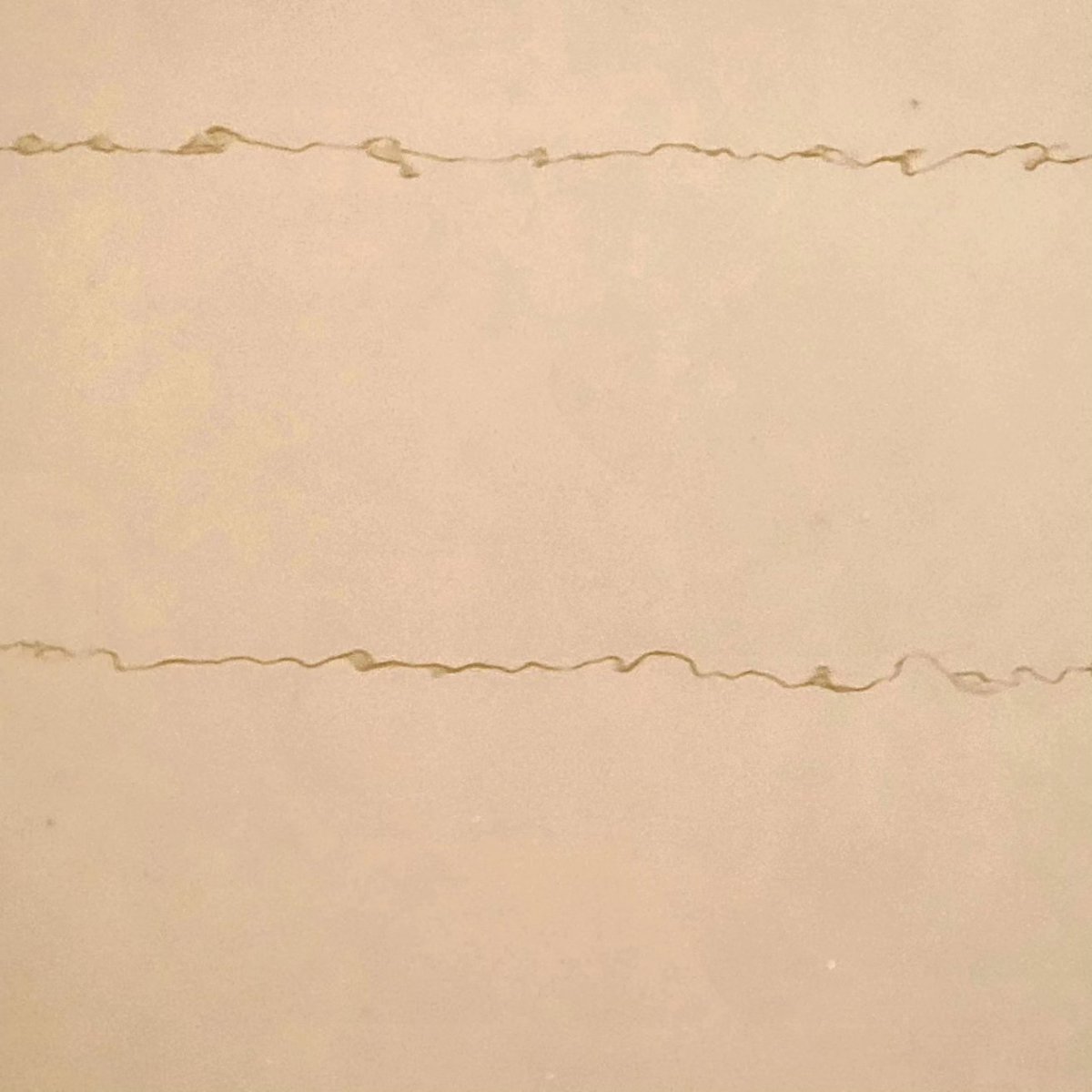 andreanhj's tweet photo. Overhead wires reflected delicately in a soupy puddle. Like muddy messages fallen from the sky, waiting to be decoded.
#reflection #puddle #muddy #message #wire #FindingLines #Noticing #TakeNotice #Walking #Thinking https://t.co/hfXTqUhH8v