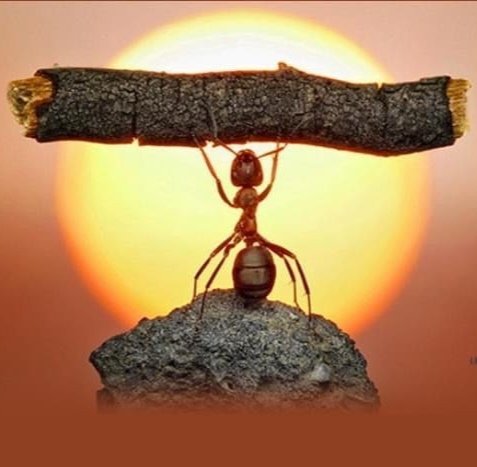 Never stop trying.
Never stop believing.
Never give up.
Your day will come.