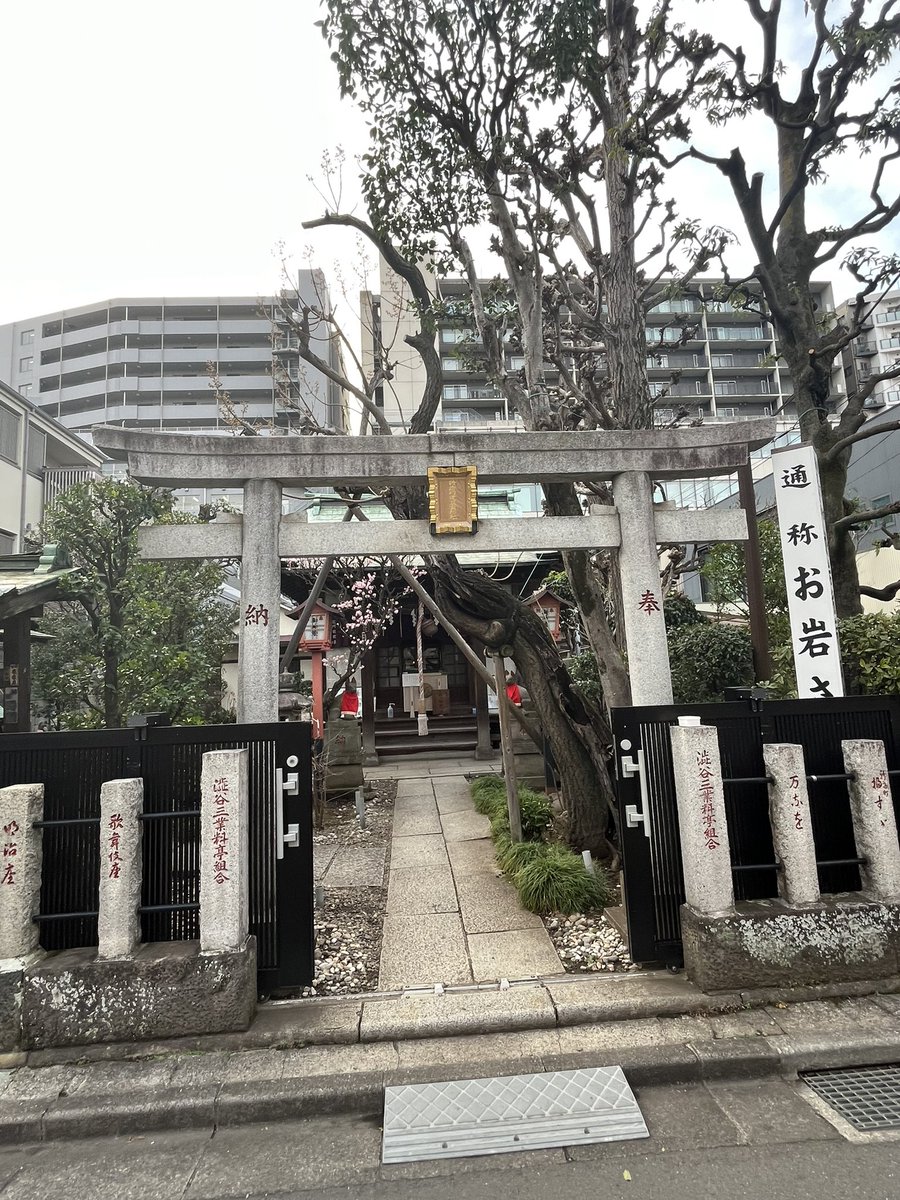 茨城県日立市「御岩神社の三本杉」 | 巨樹探訪