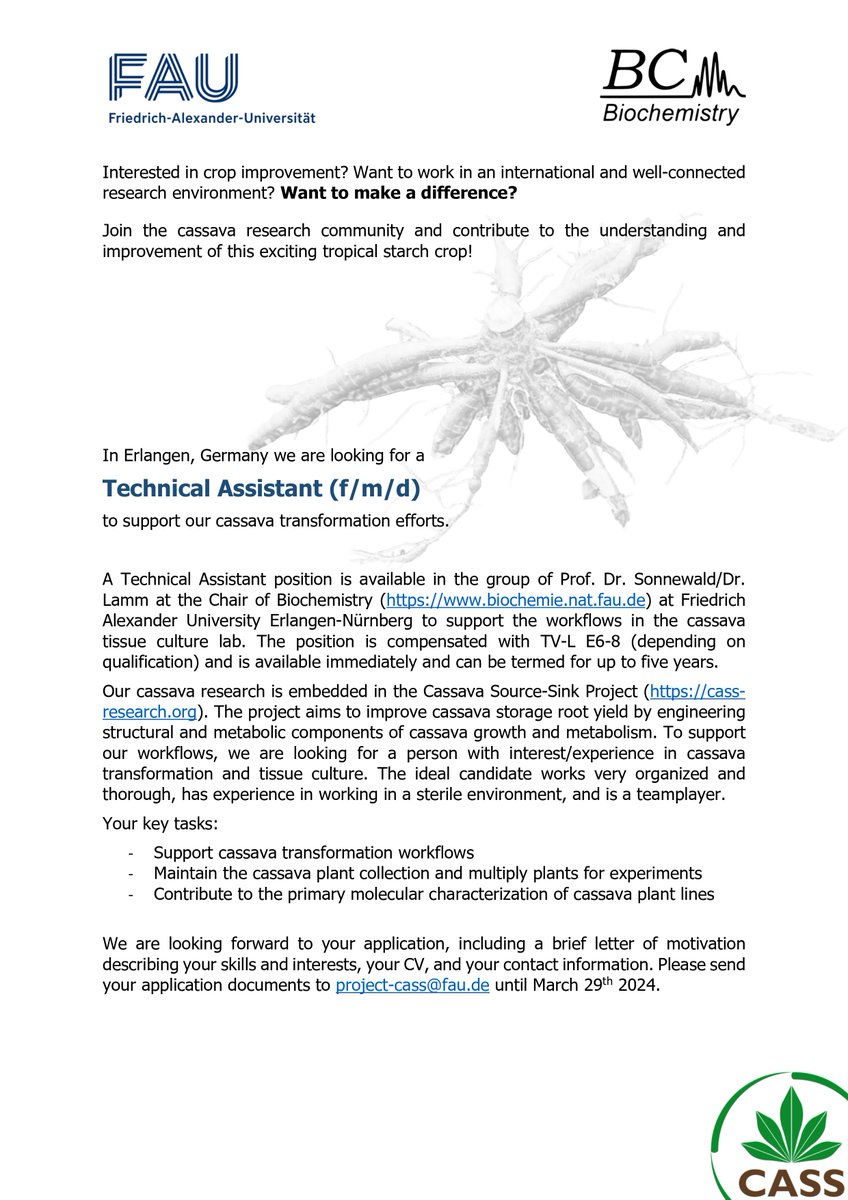 #NowHiring 🚨 

Several five-year term positions are now available at ENSA partner project, #CASS @UniFAU.

Interested in joining the team? 
Send your CV and letter of motivation to project-cass@fau.de to apply!

#PlantSciJobs #PlantSciFYI