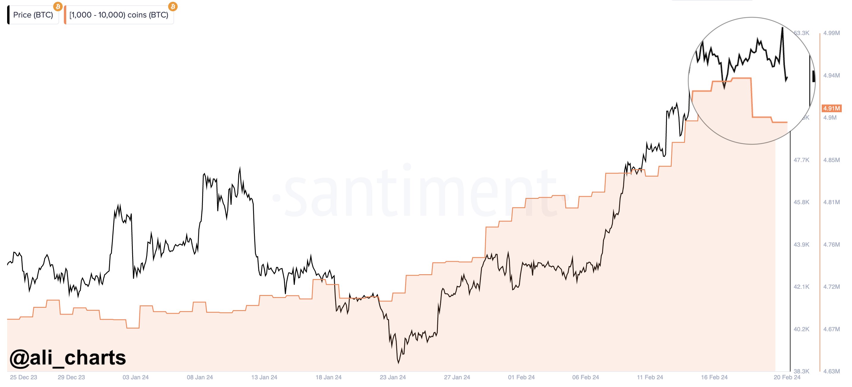 ປາວານ Bitcoin