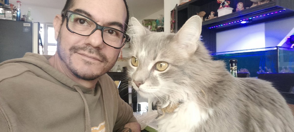 Profeta_16's tweet photo. Feliz día internacional del gato! En especial para mí bella Tokyo (casi 4 años de edad) ❤️🥰👏🐱🐱🐱🤗😁 https://t.co/2vjHbgmCIW