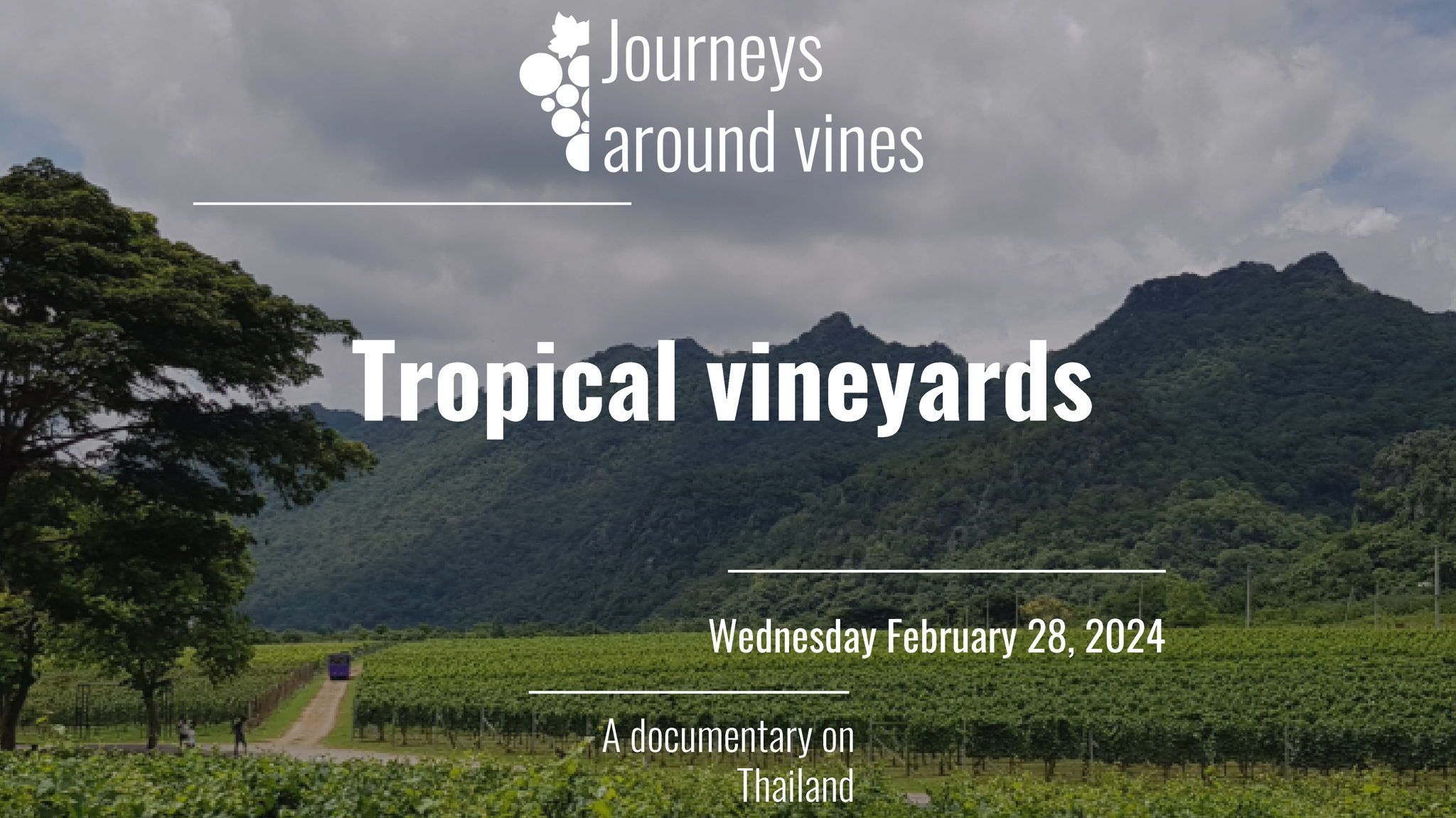Nearby vines cheap
