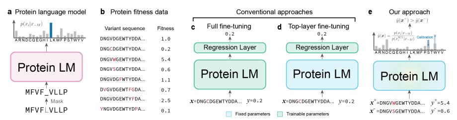 Kevin K. Yang 楊凱筌 tweet media