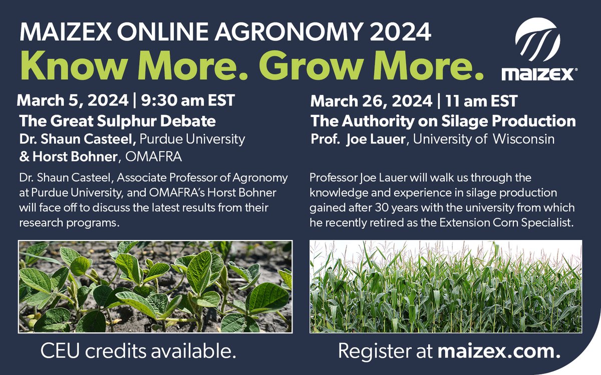 Maizex Seeds tweet media