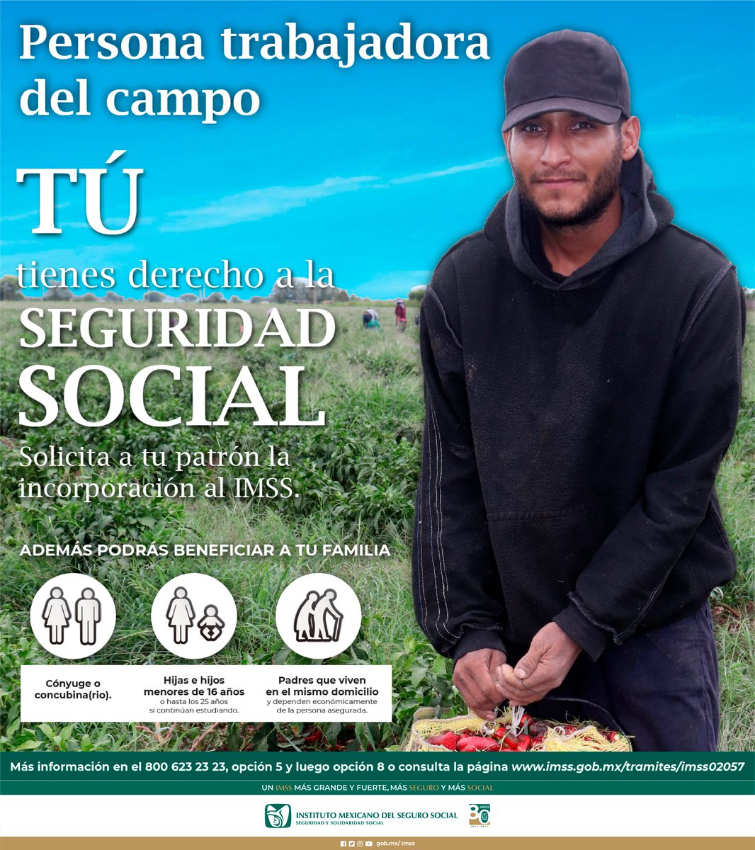 #TrabajadorDelCampo👩‍🌾 ¡Asegura tu bienestar!😀 Pide a tu jefe unirte al #IMSS🏢. Beneficia a tu familia también.👨‍👩‍👧‍👦 Consulta más en 800 623 23 23, opción 5 y 8 o visita: imss.gob.mx/tramites/imss0…