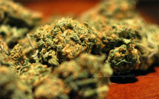 What Are Three of The Smoothest Cannabis Strains? marijuanatimes.org/what-are-three… via @marijuanatimesX