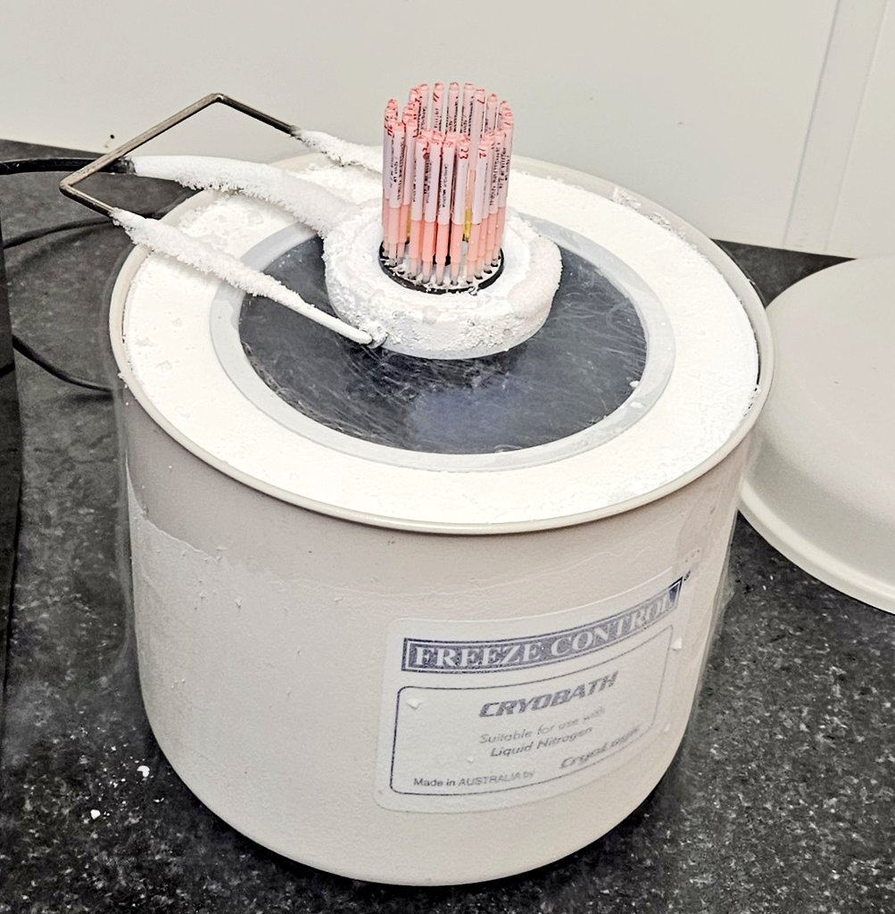 dairemarkham's tweet image. One of those days 😊 #embryotransfer