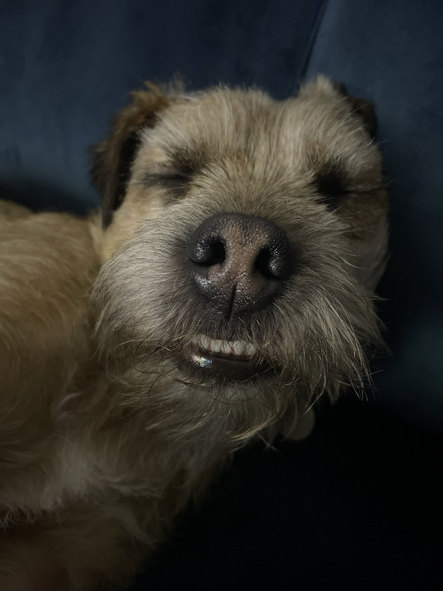 Happy #LoveYourPetDay