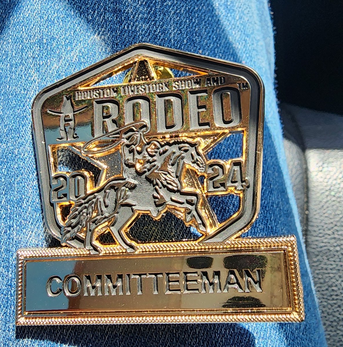LobueMarisa's tweet photo. It's almost time to #RodeoHouston
#CorralClub
#TheHideout https://t.co/mEgPmF7LYM