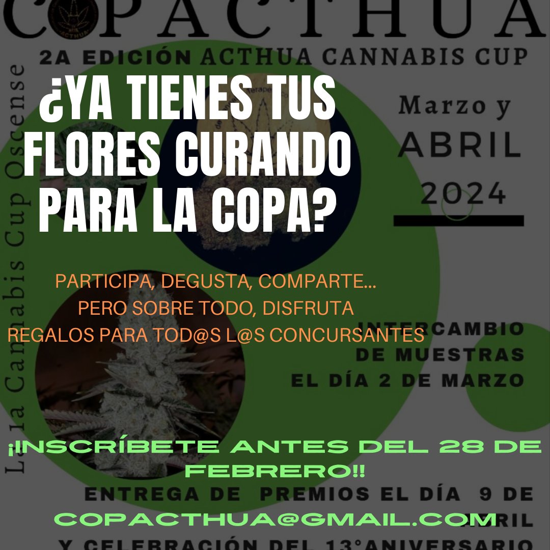 acthua1's tweet photo. #copacthua #copascannabicas #cannabis #huesca #nomasmultas #buenoshumos #regulacionintegral #libertadparamaria #autocultivo #stopdrugwar
@AmecMadrid @faclevante @faccyl @facillesbalears @facsureste https://t.co/OL6ReHe0Nr