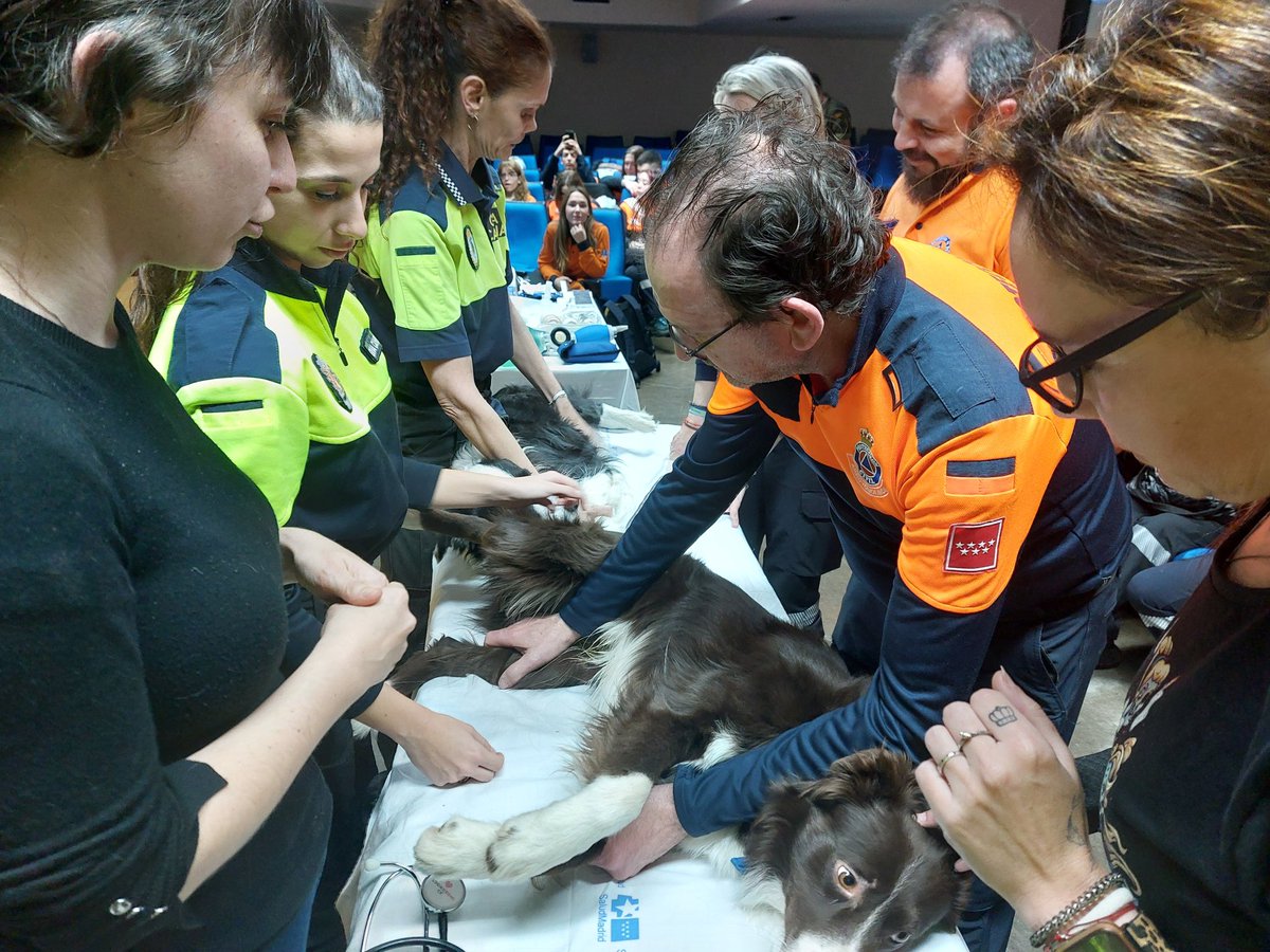 SAMUR_PC's tweet photo. Celebramos una Sesión Monográfica de Primeros Auxilios Veterinarios en nuestra sede central. En ella hemos contado con unos 120 asistentes entre ellos voluntarios de varias Agrupaciones Municipales de #ProtecciónCivil además de nuestros propios voluntarios. https://t.co/F1chMDMhpS