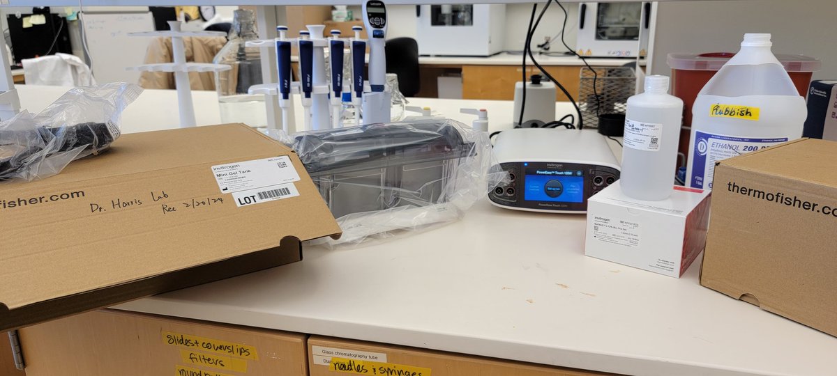 MMugotir's tweet photo. The Harris lab is looking good with new essential research tools🙂. https://t.co/kHZ2bHeEUS