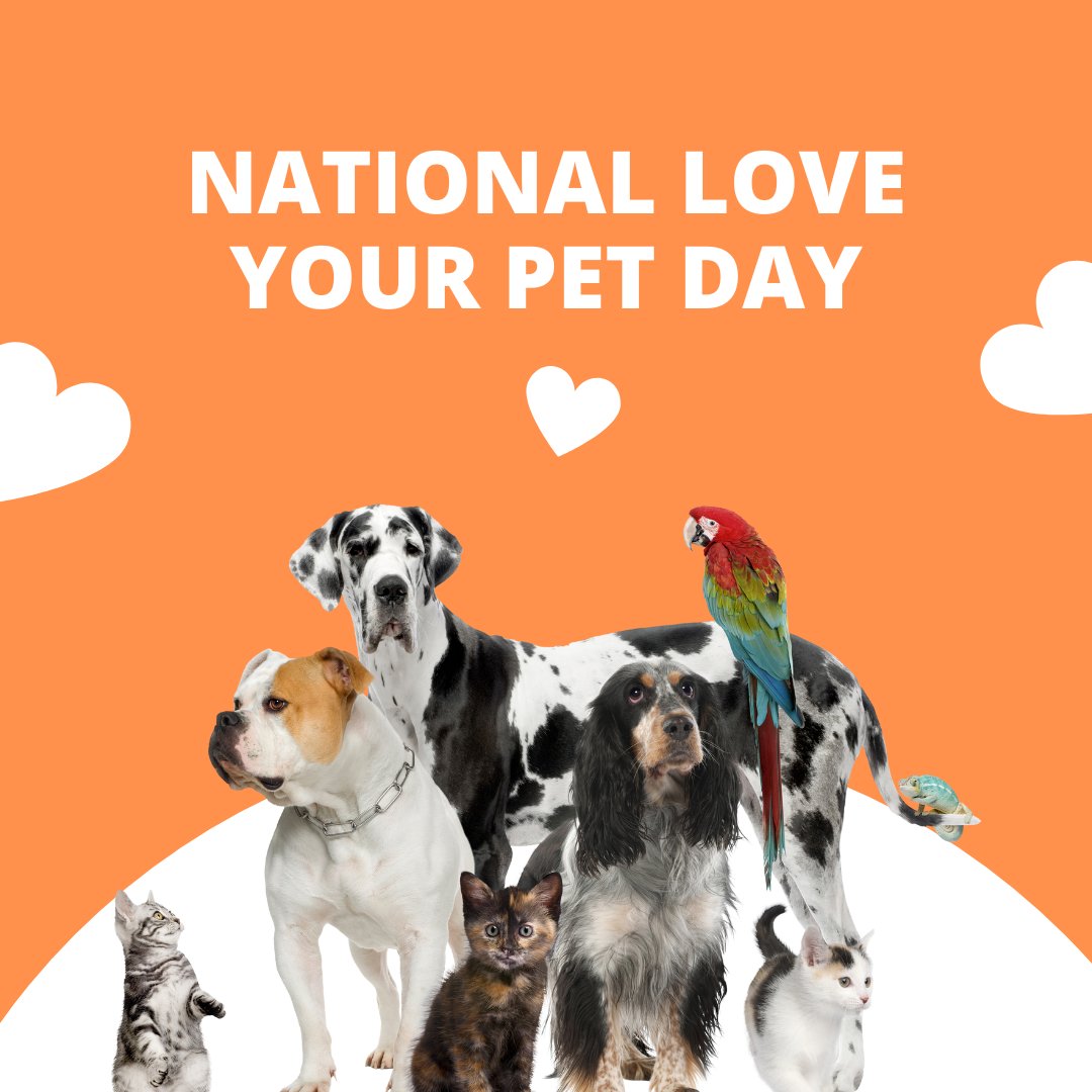 Latinorealty's tweet photo. 🐾💖 Happy National Love Your Pet Day! 🎉🐶🐱 

Today is all about showering your furry friends with extra love and affection. 

From cozy cuddles to tasty treats, celebrate the joy and companionship they bring into your life. 

Share your favorite pet https://t.co/4vSDUluG1E