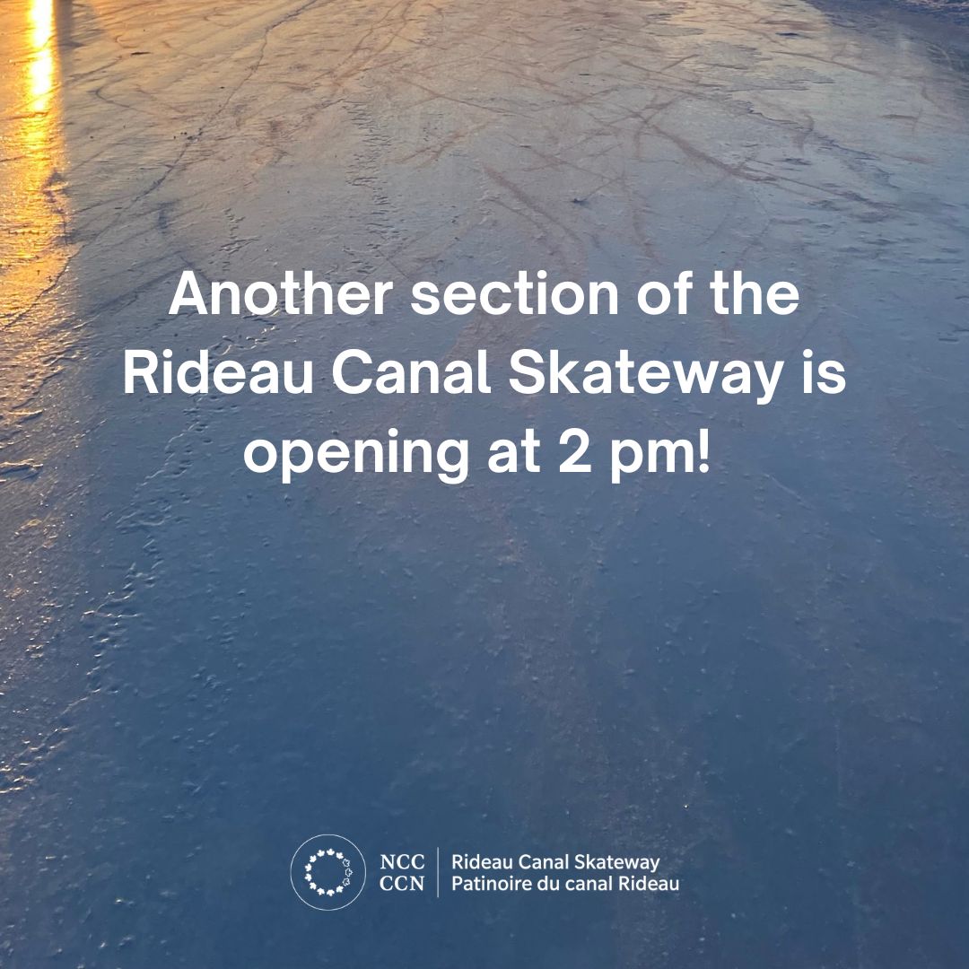 Another section of the #RideauCanal Skateway is opening today! 🎉 📍 Pretoria to Waverly 🕑 Open as of 2 pm ⚠ Be mindful of the ice under the Pretoria Bridge and the 417 🙅‍♂️ No skate rentals available Find access points and conditions: ncc-ccn.gc.ca/places/skatewa…