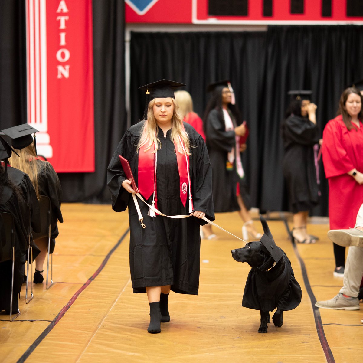 austinpeay's tweet photo. It's #NationalLoveYourPetDay and we sure do love our furry Govs, especially when they rep the brand!🐾❤️ https://t.co/zlgWtEOQnX