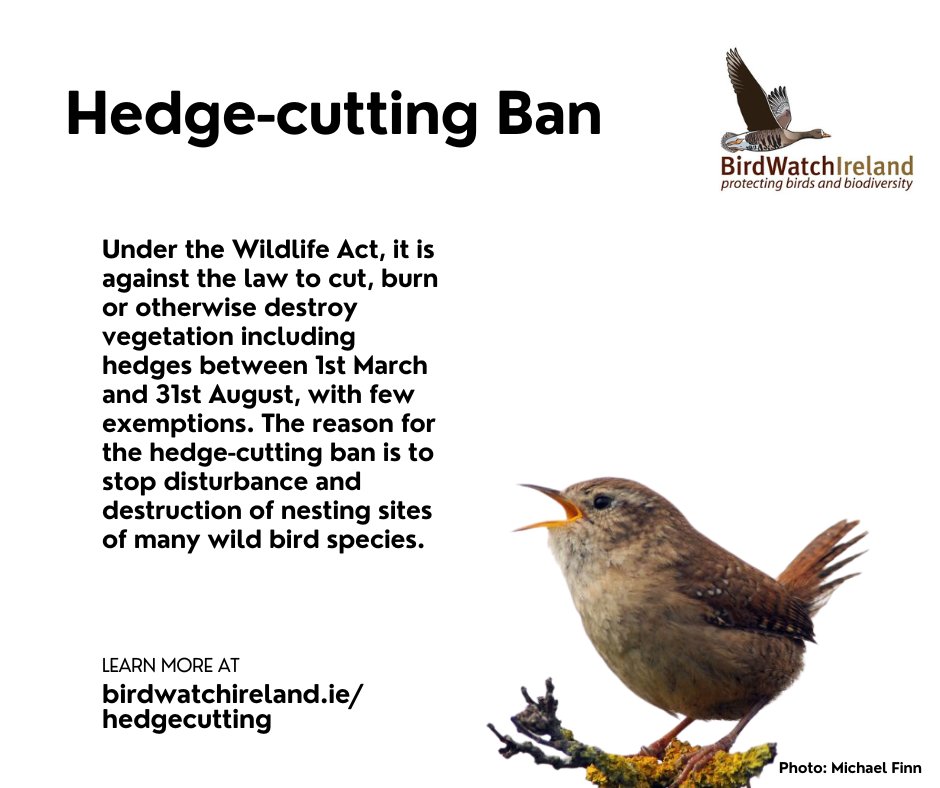 (AL) It is vital that we protect #birds and the habitats they rely on, particularly during nesting season. From March 1 until Aug 31, it is against the law to cut, burn or otherwise destroy vegetation including hedges.
We urge you to respect this and share this info widely!