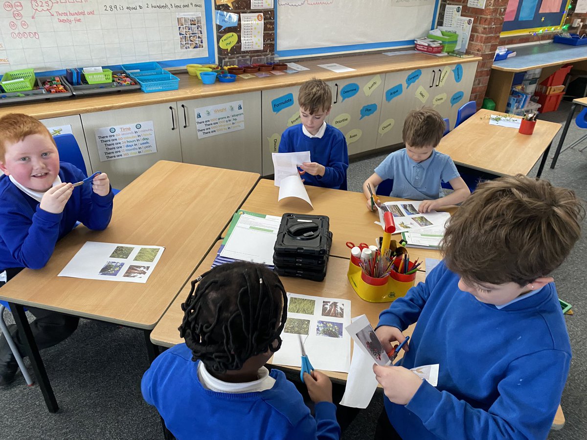 Today in science we sorted pictures to decide whether we thought they were plants or not plants whilst exploring features of plants at the start of our new science unit <a href="/DeltaMacaulay/">Macaulay Primary</a> #ScienceMacaulay