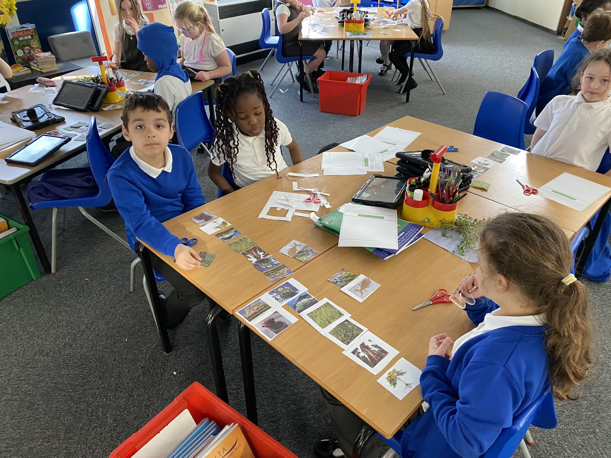 Class 5PB Macaulay Primary tweet media
