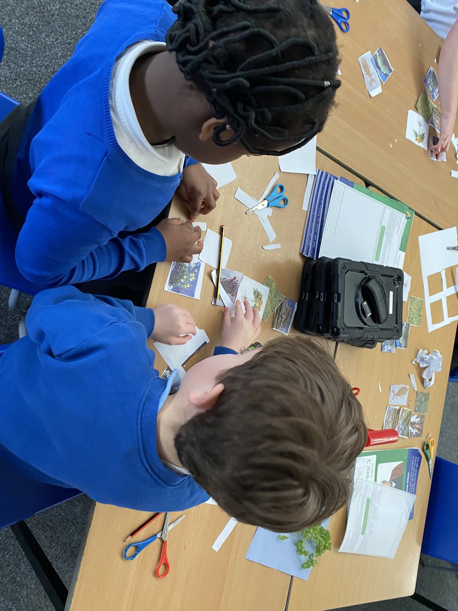 Class 5PB Macaulay Primary tweet media