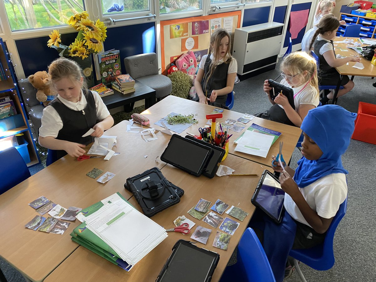 Class 5PB Macaulay Primary tweet media