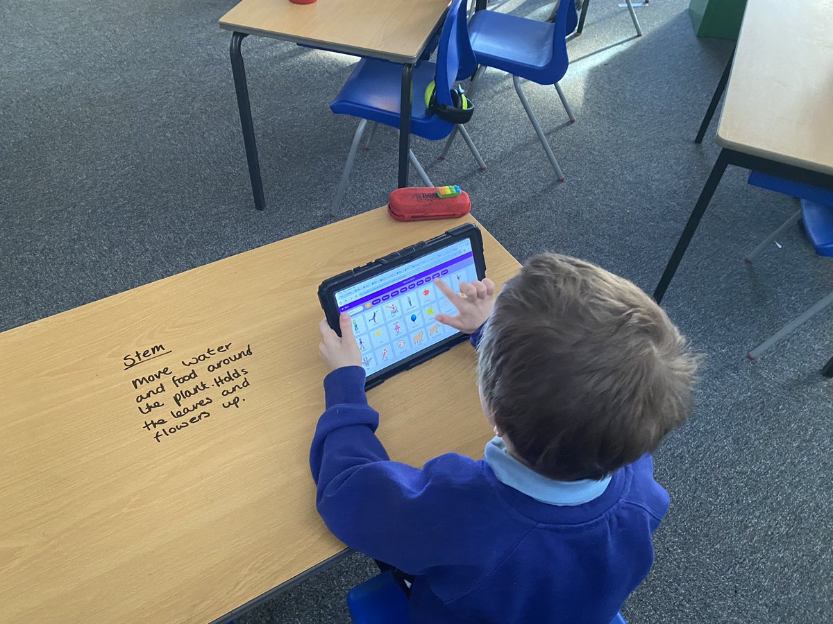 Class 5PB Macaulay Primary tweet media