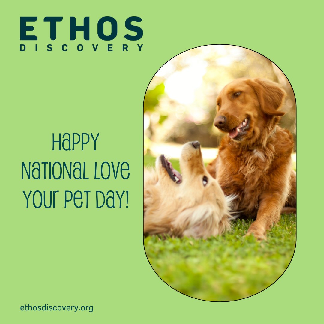 Celebrating Love Your Pet Day with Ethos Discovery! 🐾❤️ Today, we're honoring the incredible bond between humans and their furry, scaly, or feathered companions. At #EthosDiscovery, we understand the profound impact pets have on our lives.