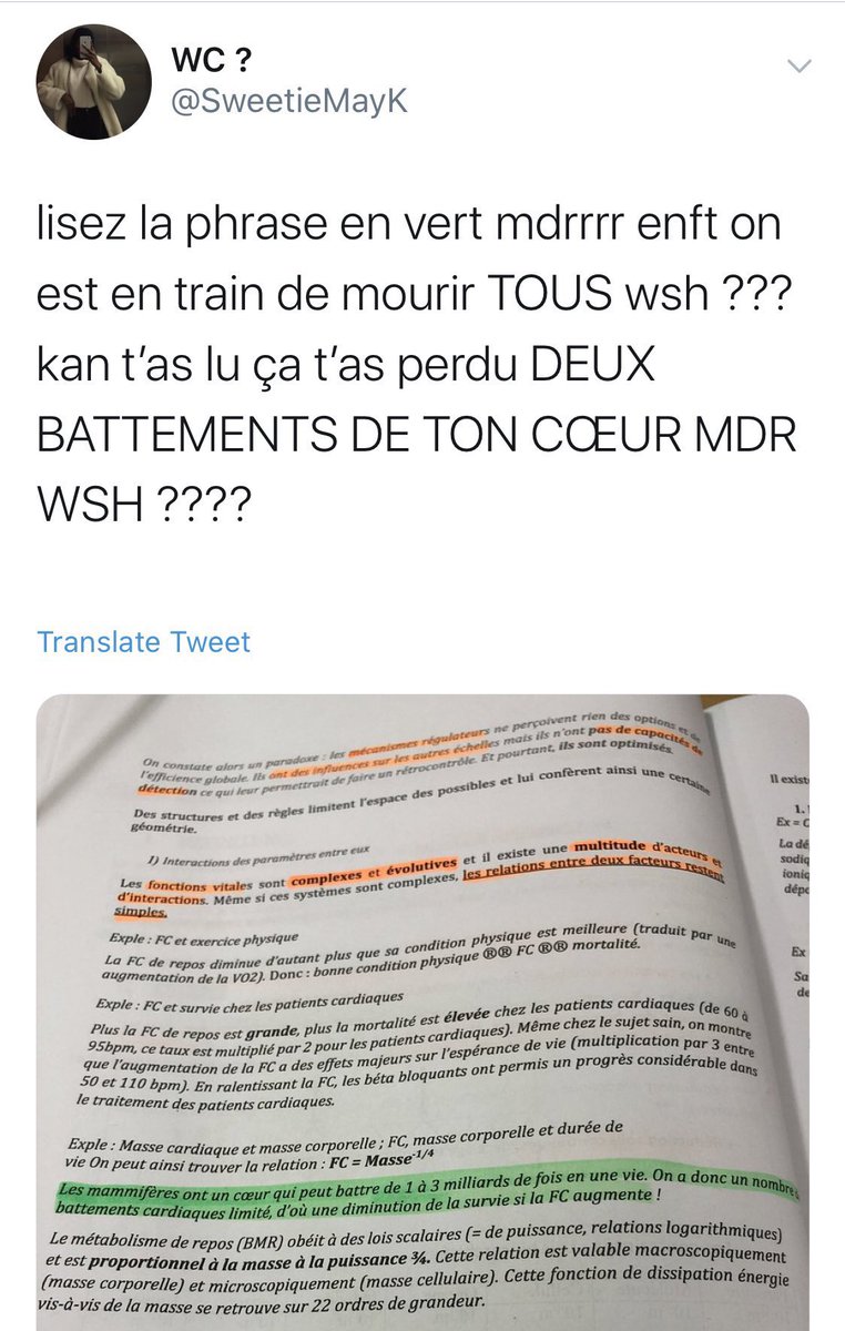 TopDesTwittos's tweet photo. Il y a 4 ans sur Twitter, jour pour jour https://t.co/fZa5OdnO0d