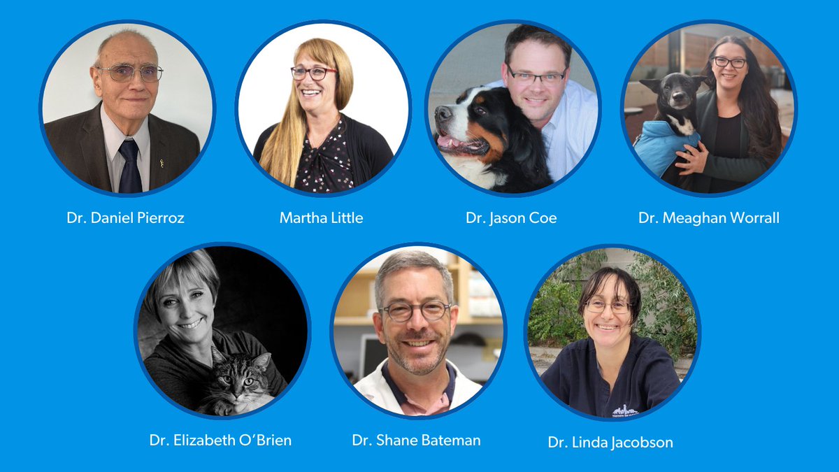 Meet our 2024 OVMA Award winners! Congratulations to Martha Little and Drs. Daniel Pierroz, Elizabeth O'Brien, Linda Jacobson, Shane Bateman, Jason Coe and Meaghan Worrall! Learn how they have contributed to the veterinary profession at bit.ly/3jBeWHX.