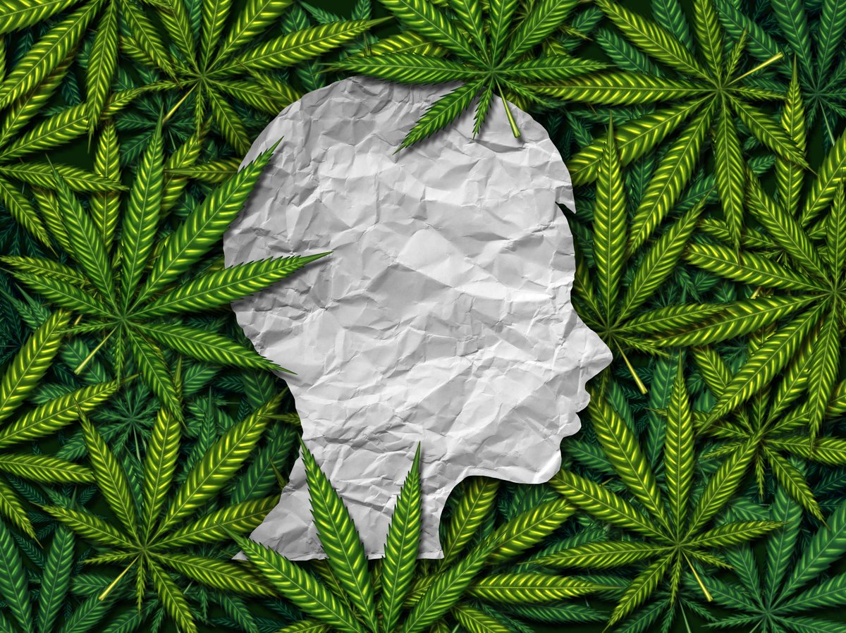 Cannabis for Neurodegenerative Disorders

Here, we take a deep dive into research on how cannabis affects neurodegenerative disorders such as Alzheimer’s disease, multiple sclerosis, and Parkinson’s disease.

➡️ Read the full blog installment: ow.ly/8FYT50QFKZX