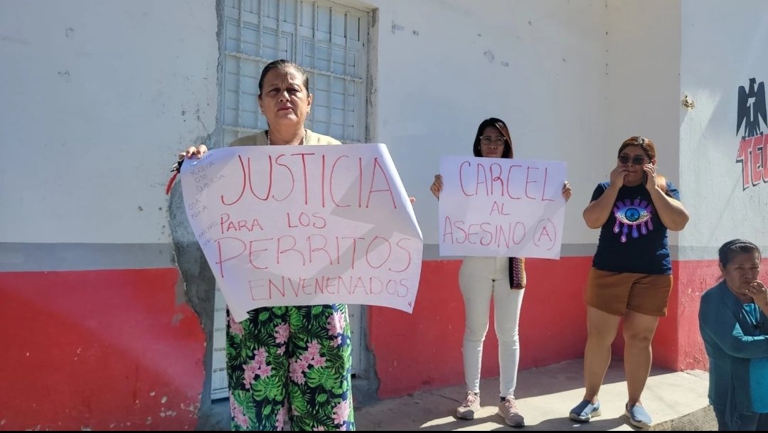 “Matanza de perros” en Tuxtla Gtz. En las últimas semanas se han registrado casos de #envenenamiento de los #perritos de la calle en diversas colonias de la ciudad, sólo en #LindavistaShanka y #Potinaspak de diciembre a la fecha se han encontrado poco más de 35 #envenenados.