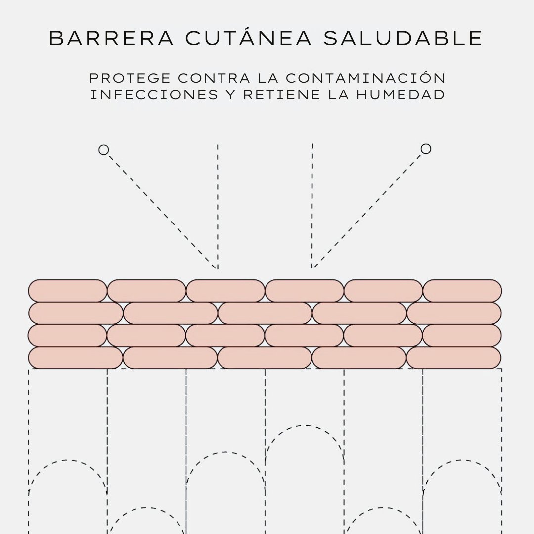 menorcaseeds's tweet photo. Descubre el secreto para una barrera cutánea más fuerte y una piel radiante: ¡el CBD! 🌱✨ Con sus impresionantes propiedades antiinflamatorias y antioxidantes, el CBD no es solo una tendencia, sino un cambio revolucionario en el cuidado de la piel. https://t.co/Xg6QSvvJzM