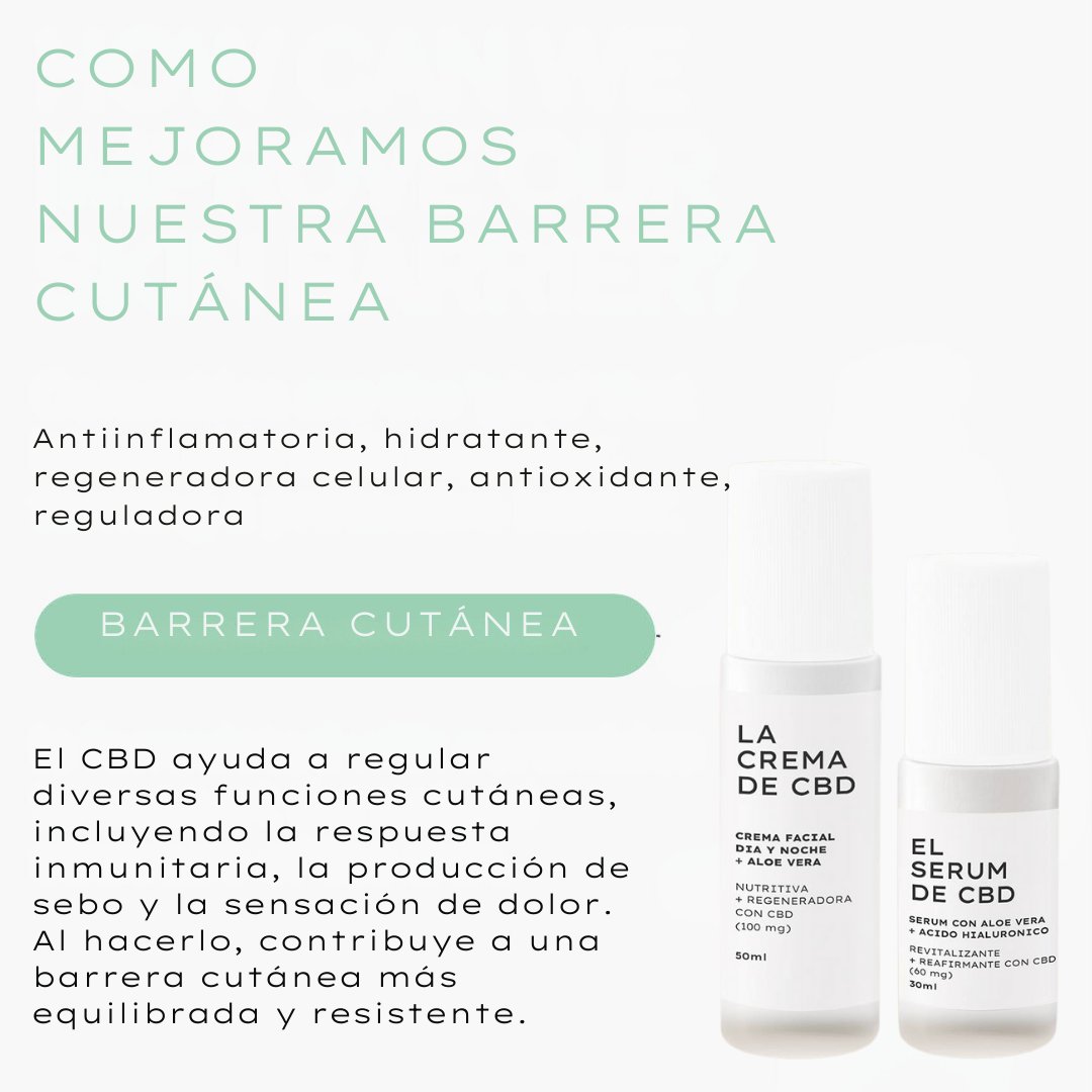 menorcaseeds's tweet photo. Descubre el secreto para una barrera cutánea más fuerte y una piel radiante: ¡el CBD! 🌱✨ Con sus impresionantes propiedades antiinflamatorias y antioxidantes, el CBD no es solo una tendencia, sino un cambio revolucionario en el cuidado de la piel. https://t.co/Xg6QSvvJzM
