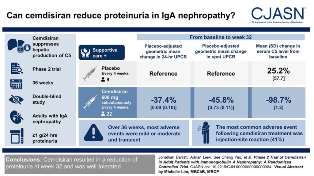 Phase 2 Trial of Cemdisiran in Adult Patients with IgA nephropathy journals.lww.com/cjasn/fulltext…