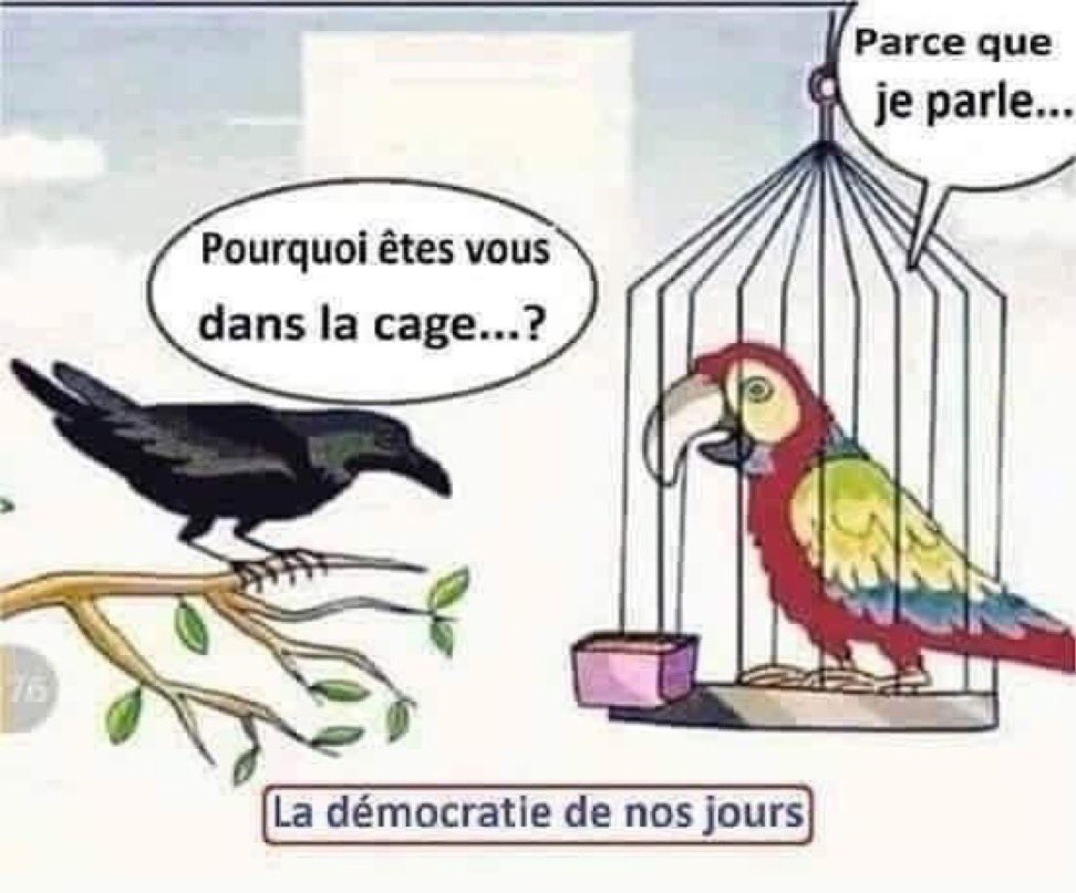 AnnaT25400956's tweet photo. @le_Parisien 20 avocats … Quelle honte #rsf_inter ! https://t.co/k2LqEQuZNp