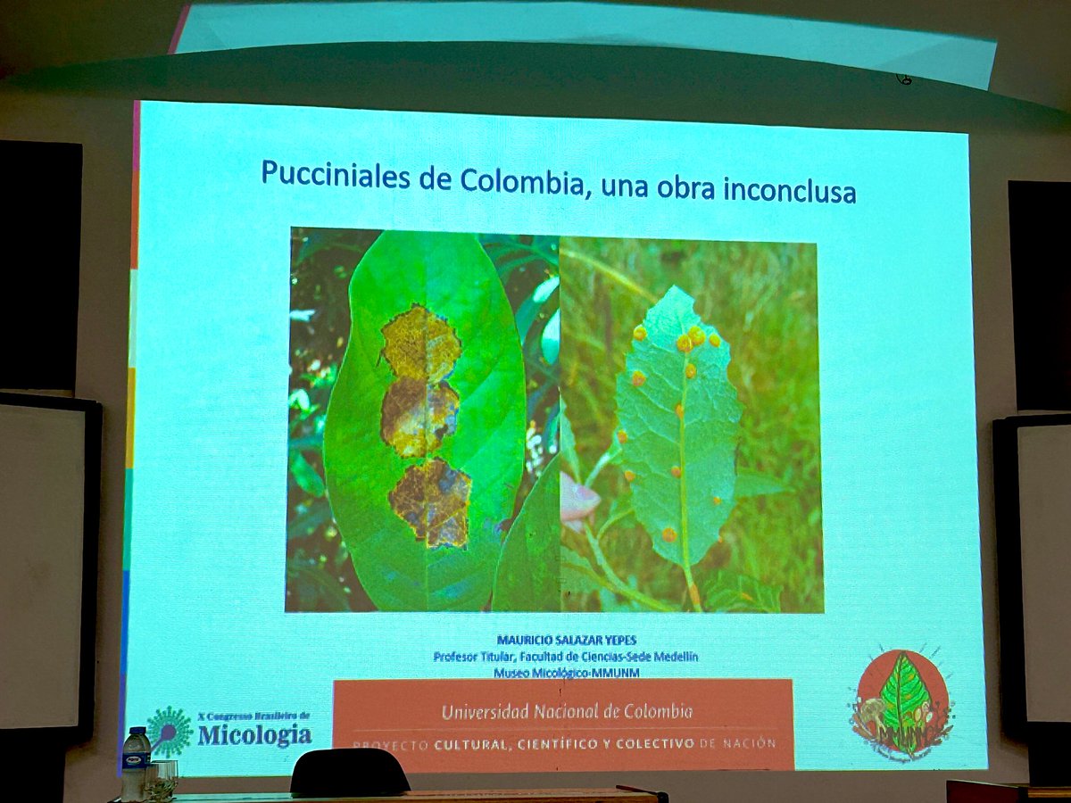 ClinicPlant's tweet photo. Learning 🤓 about #rusts #fungi 🍄 and their use as #biocontrol agents of #weeds, several success stories! #invasive #biologicals @EPPOnews @EPPO_Invasives @MSAFungi @FAOForestry @IUFRO @IUFROdivision7 @USDA https://t.co/31OKpQ3Ys6