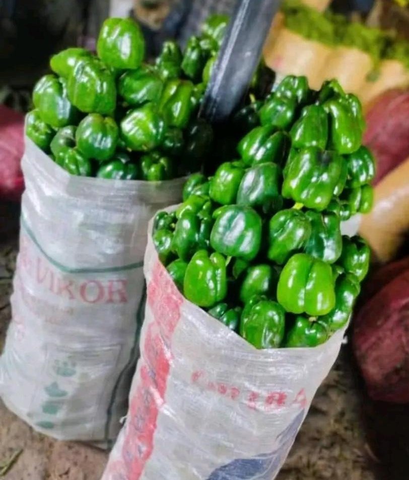 OneFarmTech's tweet photo. WhatsApp 08037135296 to make your order, https://t.co/m5HnE0n1Zo