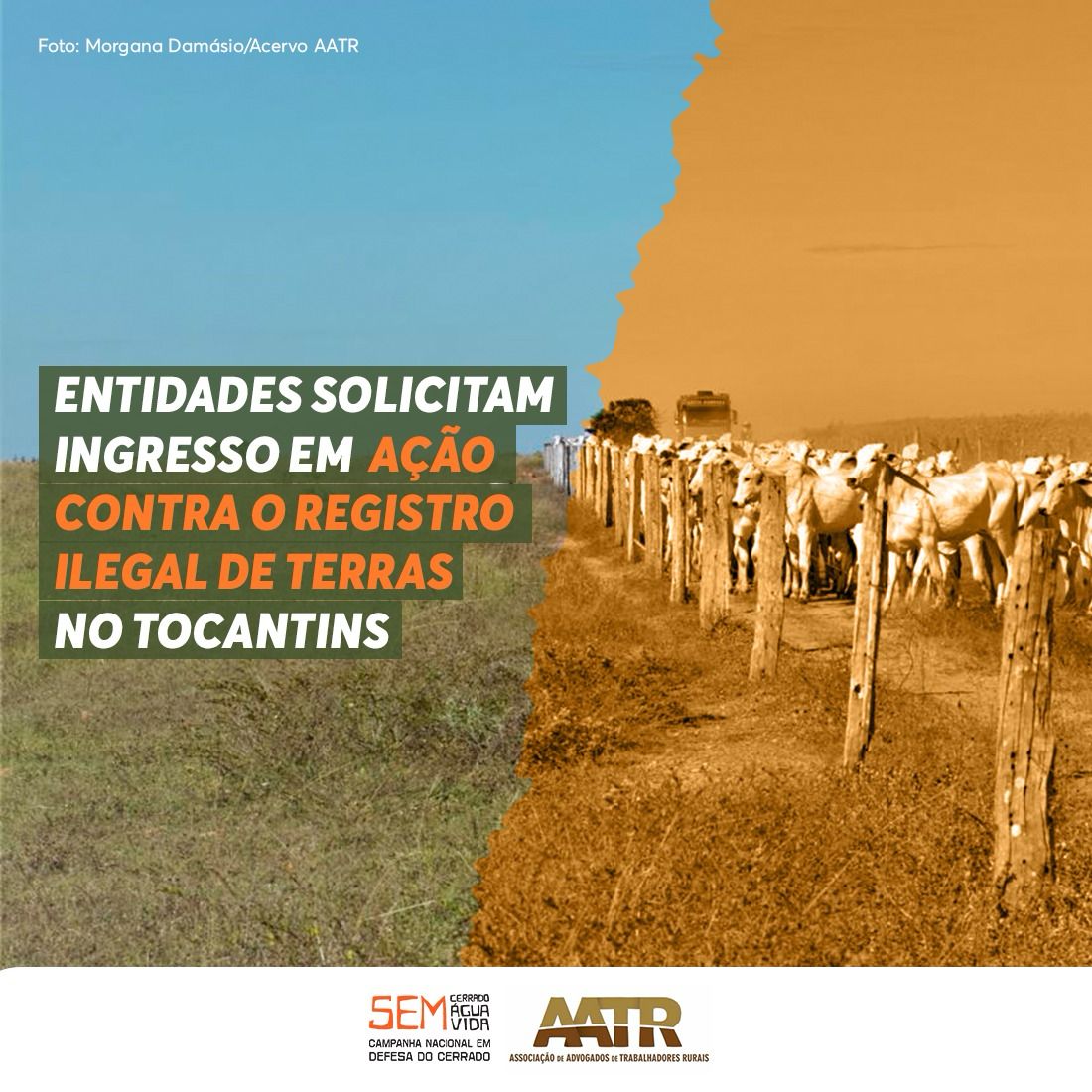 Dia 19/02 a <a href="/aatrbahia/">Associação de Advogados de Trabalhadores Rurais</a> e a Campanha Cerrado protocolaram pedido para ingresso como Amicus Curiae (Amigos da Corte) na Ação Direta de Inconstitucionalidade (ADI) contra lei que promove grilagem de terras no Tocantins bit.ly/3UNvBYP