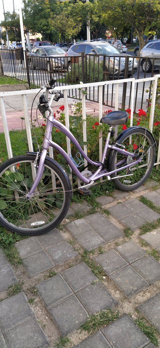 Me acaban de robar mi bici en Chapalita!! 🆘🆘🆘
Es una trek morada y tiene un rack en la parte de atrás. Por favor ayúdenme a compartirlo por si alguien la ve :(( es muy muy valiosa para mí y mi medio principal de transporte.